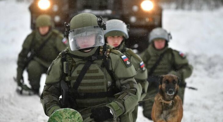 Военные инженеры уничтожили немецкие кассетные мины под Купянском — Новости Mail.ru